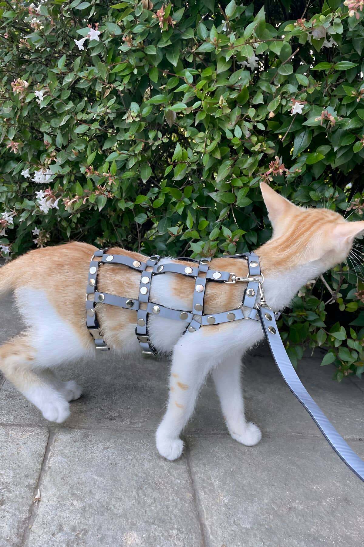 Karanlıkta Parlayan Reflektörlü Şık Kedi Harness - Beyaz L/XL